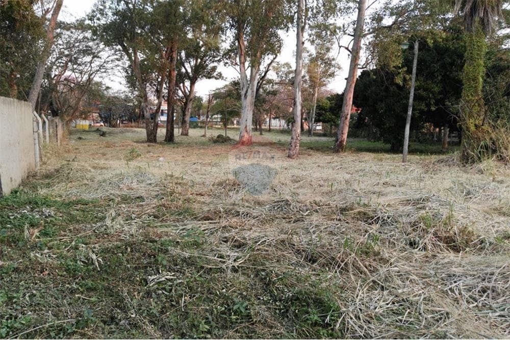 Gran Terreno en Fdo de la Mora Zona Norte, foto 3