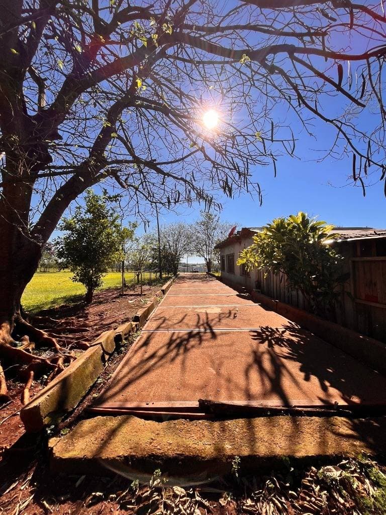 Amplio terreno en Santa Rita - Alto Parana, foto 5