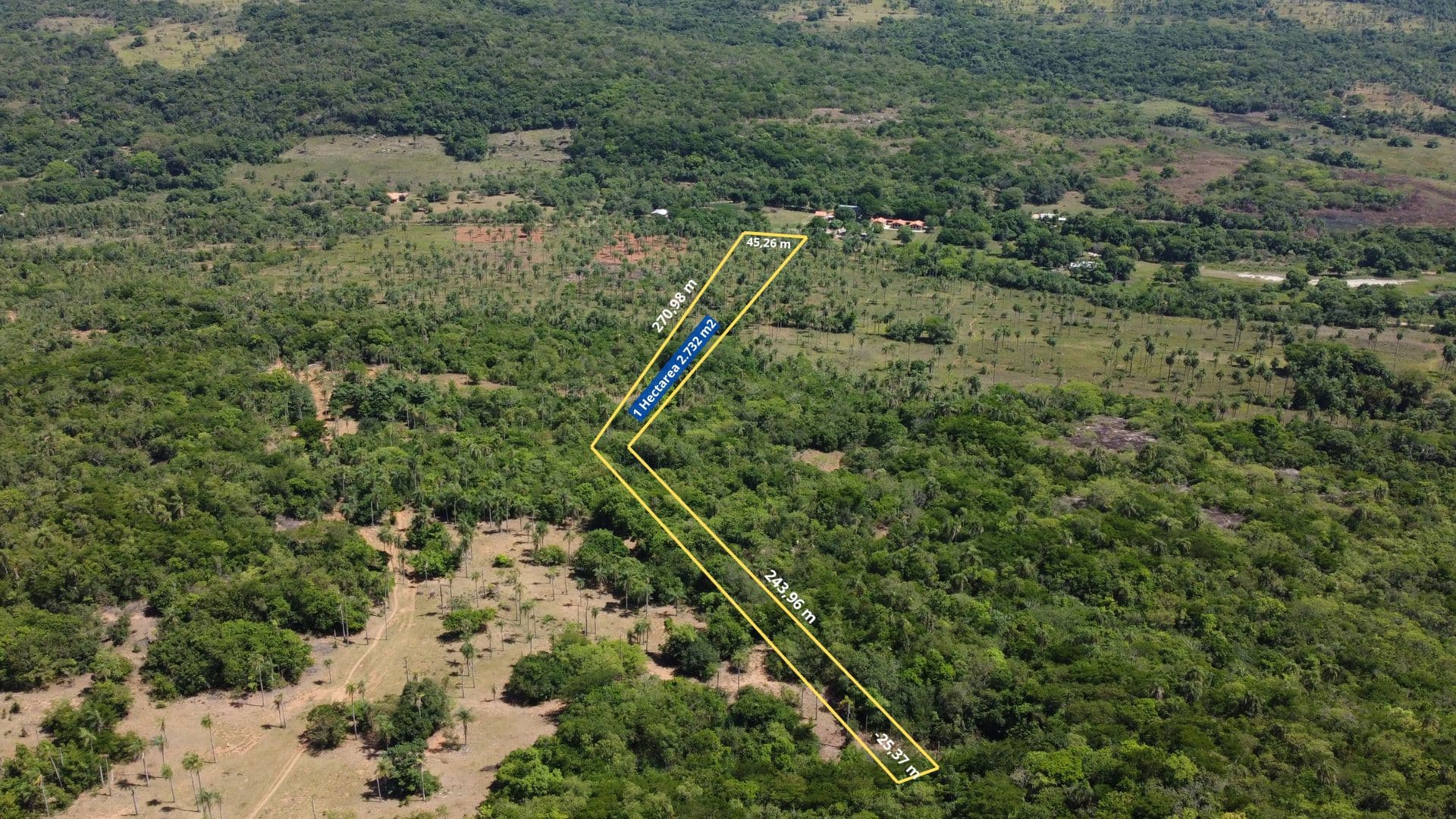 Propiedad De 1 Hectárea En Piribebuy, foto 3