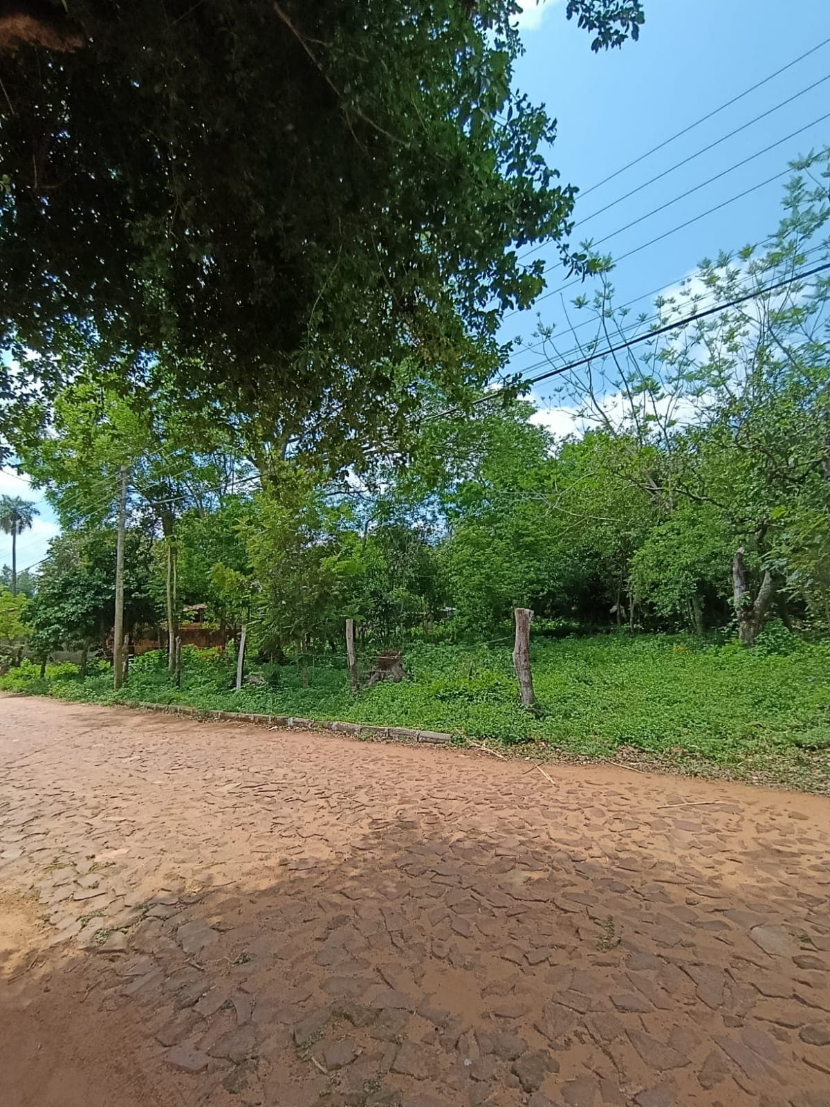 Terreno amplio en Caacupé, foto 2