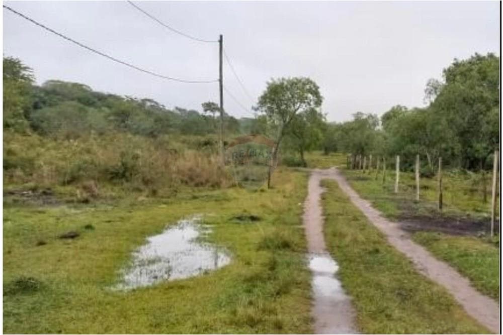 Amplio terreno en venta en Altos, foto 1