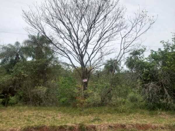 De terreno en atyra, foto 4