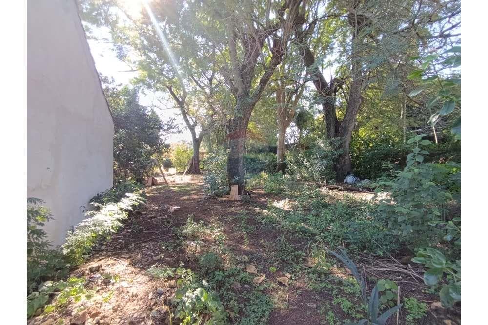 Terreno - Venta - Paraguay Central Ñemby, foto 3