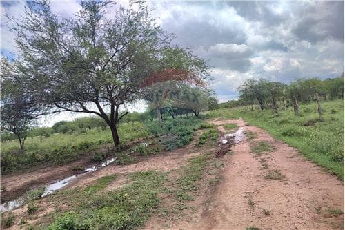 Terreno-Venta-PY Presidente Hayes Villa Hayes RUTA 12 CHACOI
