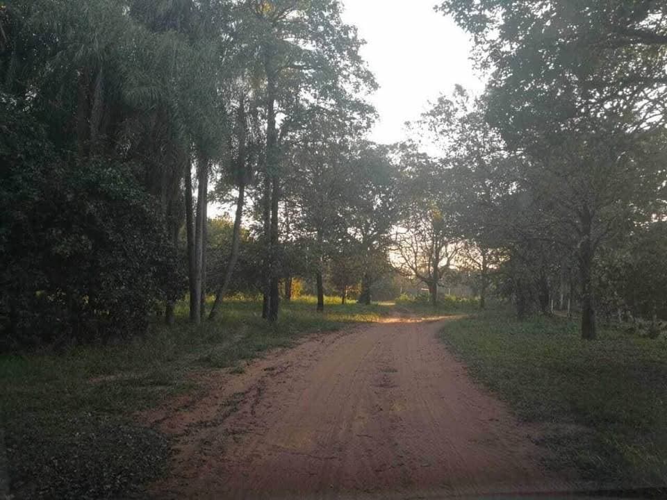 Propiedad en Venta sobre el Río Paraguay, foto 1