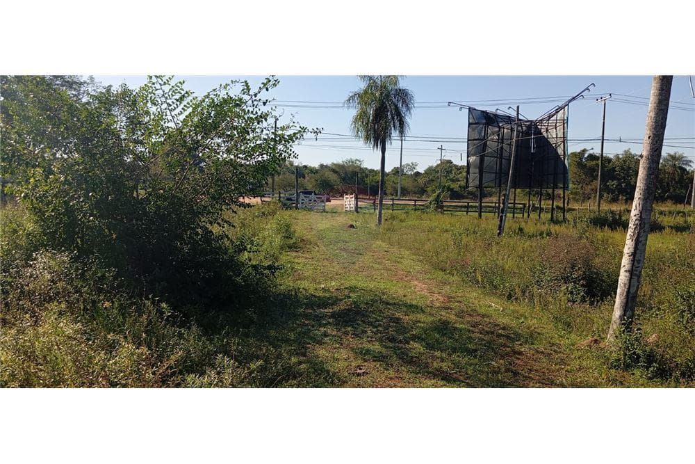 15 hectareas sobre ruta Luque San Bernardino, foto 2