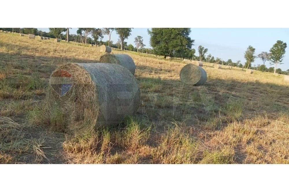Estancia en el chaco paraguayo — foto 3