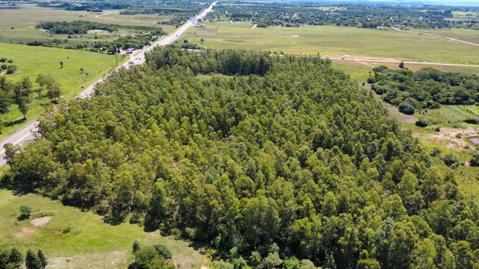 10 hectareas sobre ruta py02 - coronel oviedo, foto 4