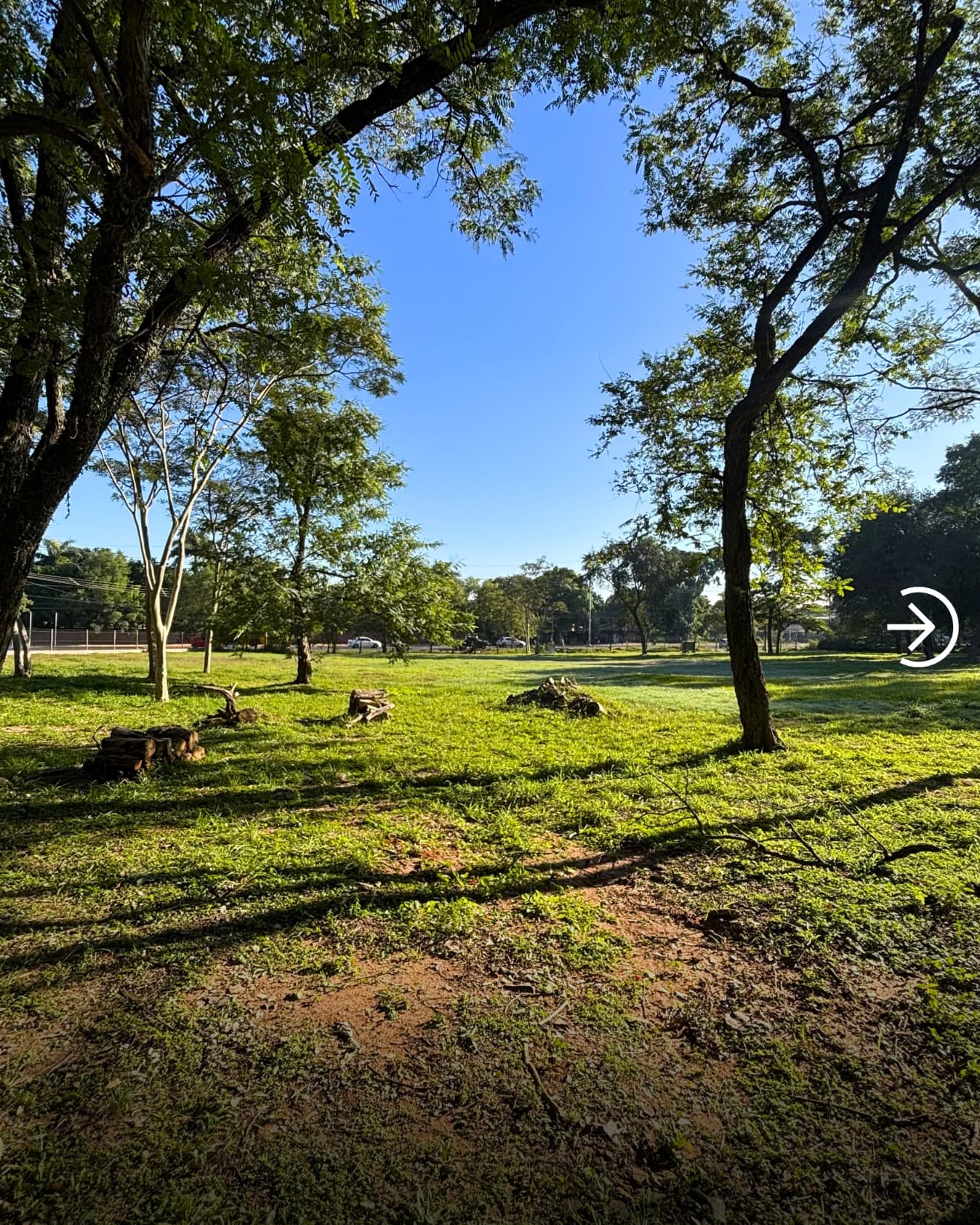 Terreno En Venta - Loma Pyta - Sobre Ruta Transchaco, foto 3