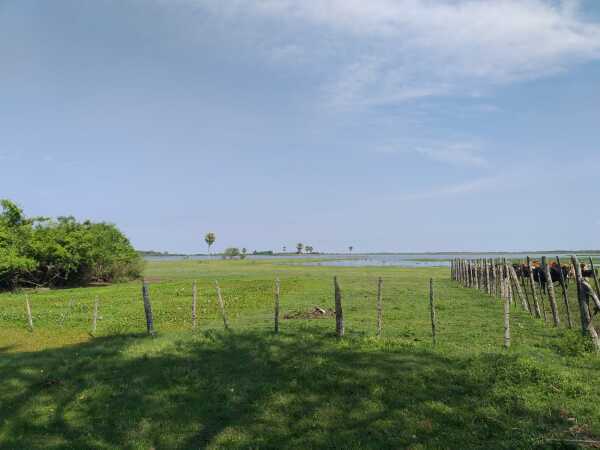 En venta de 411 hectáreas en estero kanva / san juan de ñeembucu, foto 4