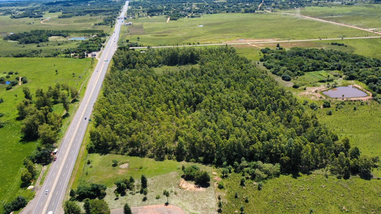 10 hectareas sobre ruta py02 - coronel oviedo, foto 5
