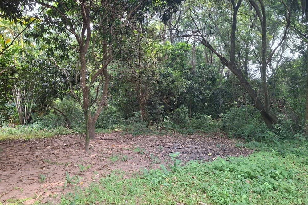 Terreno-Venta-Varón Coopens y Las Residentas, Altos, Cordillera, foto 5