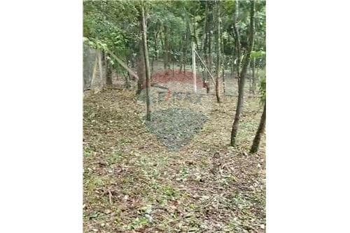 Terreno en venta, cordillera San Bernardino — foto 3