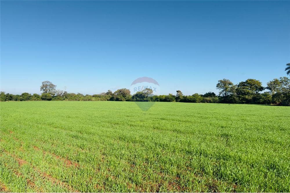 Terreno en venta - barrio san blas independencia, foto 4