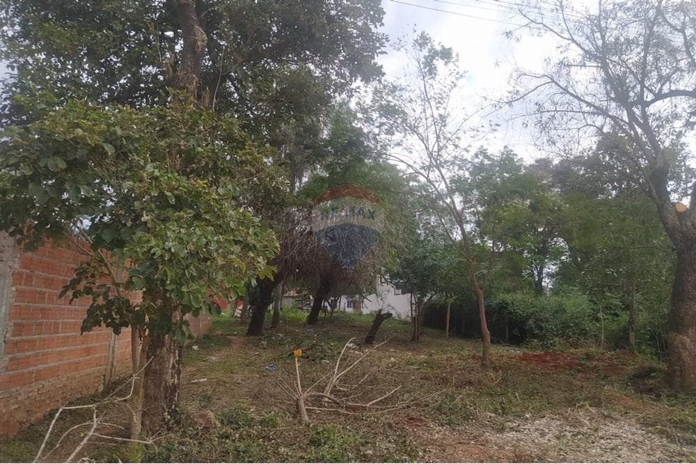 En Venta Terreno Luque, foto 5