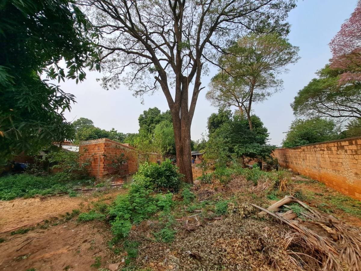 En oferta terreno en la ciudad de lambare — foto 2