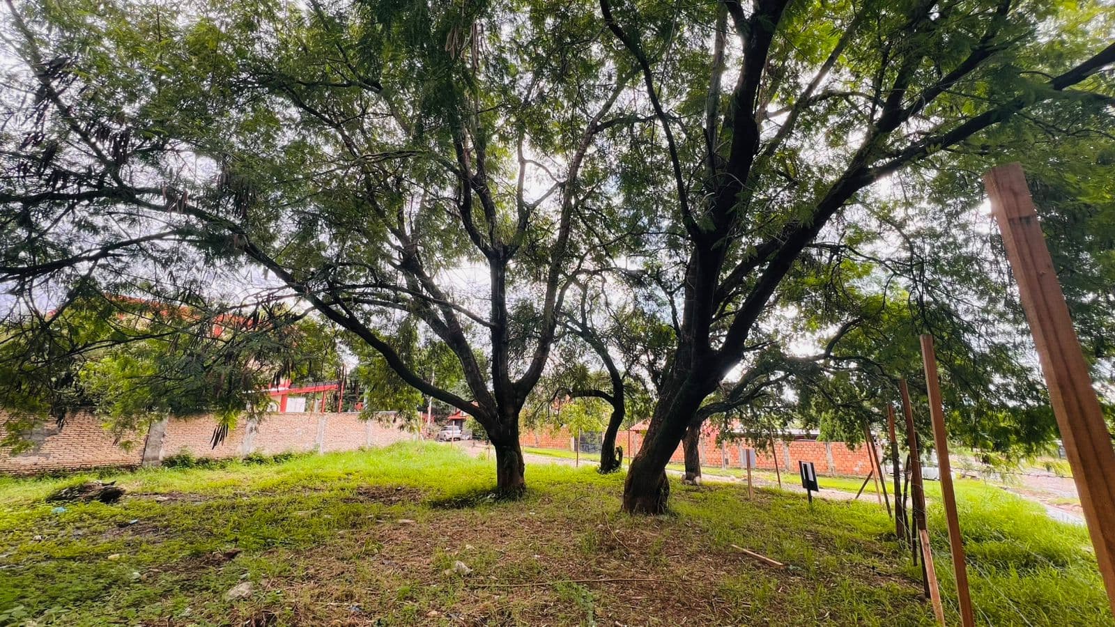 erreno en Loma Pyta, Asunción – Ideal para inversión o desarrollo, foto 2