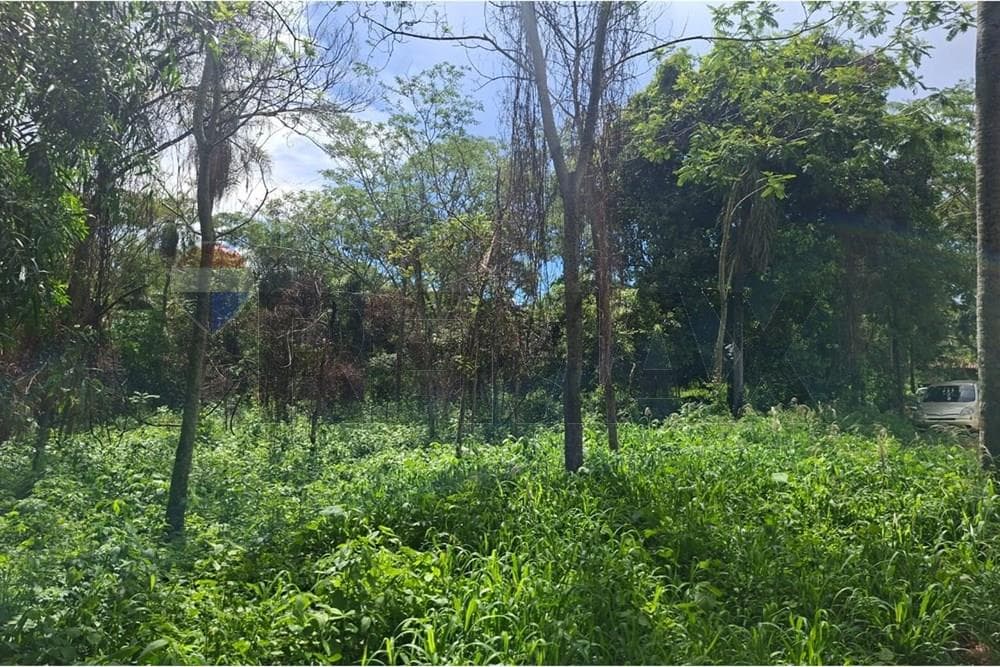 Terreno - Venta - San Bernardino, Paraguay, No lo pierdas!, foto 3