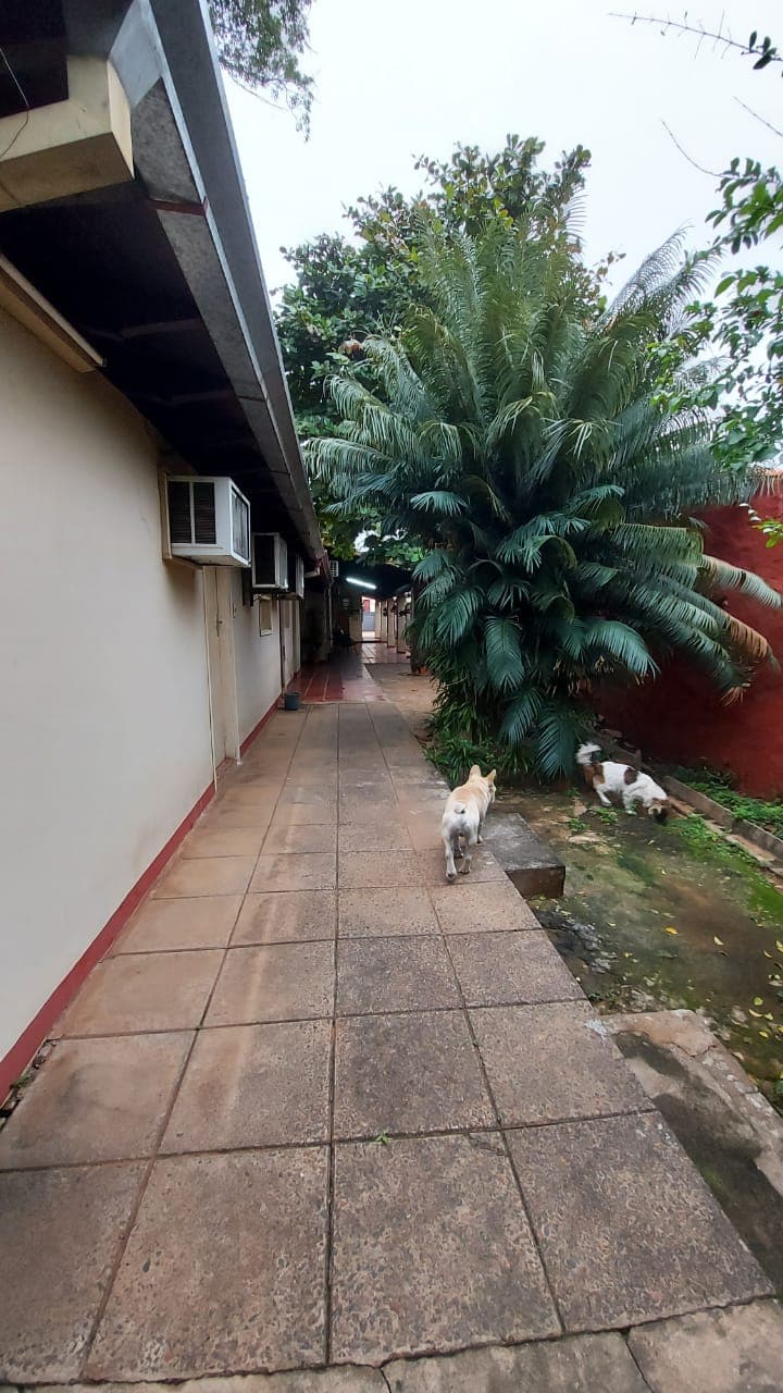 Casa en el Centro de San Lorenzo, foto 2