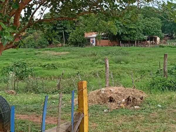 Terreno de 3 hectáreas en zona estratégica de Luque, foto 2