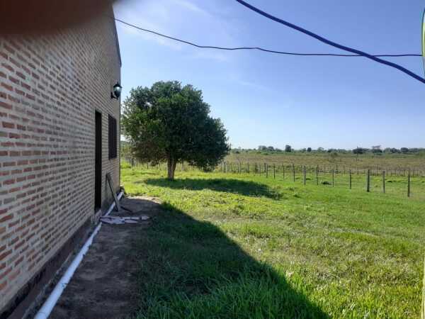 estancia de 845 Has con pastura para engorde de animales,en San Pedro, foto 5