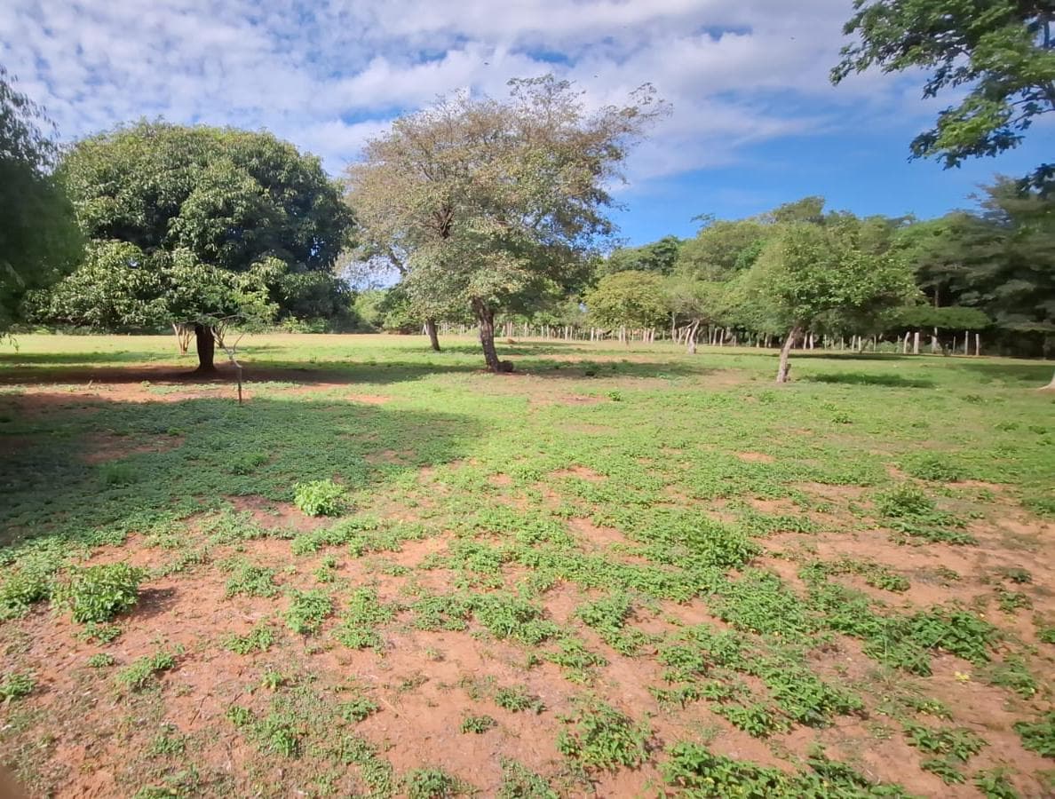 Amplio Terreno 3600 M2 Caacupe Especial Para Casa Quinta, foto 2