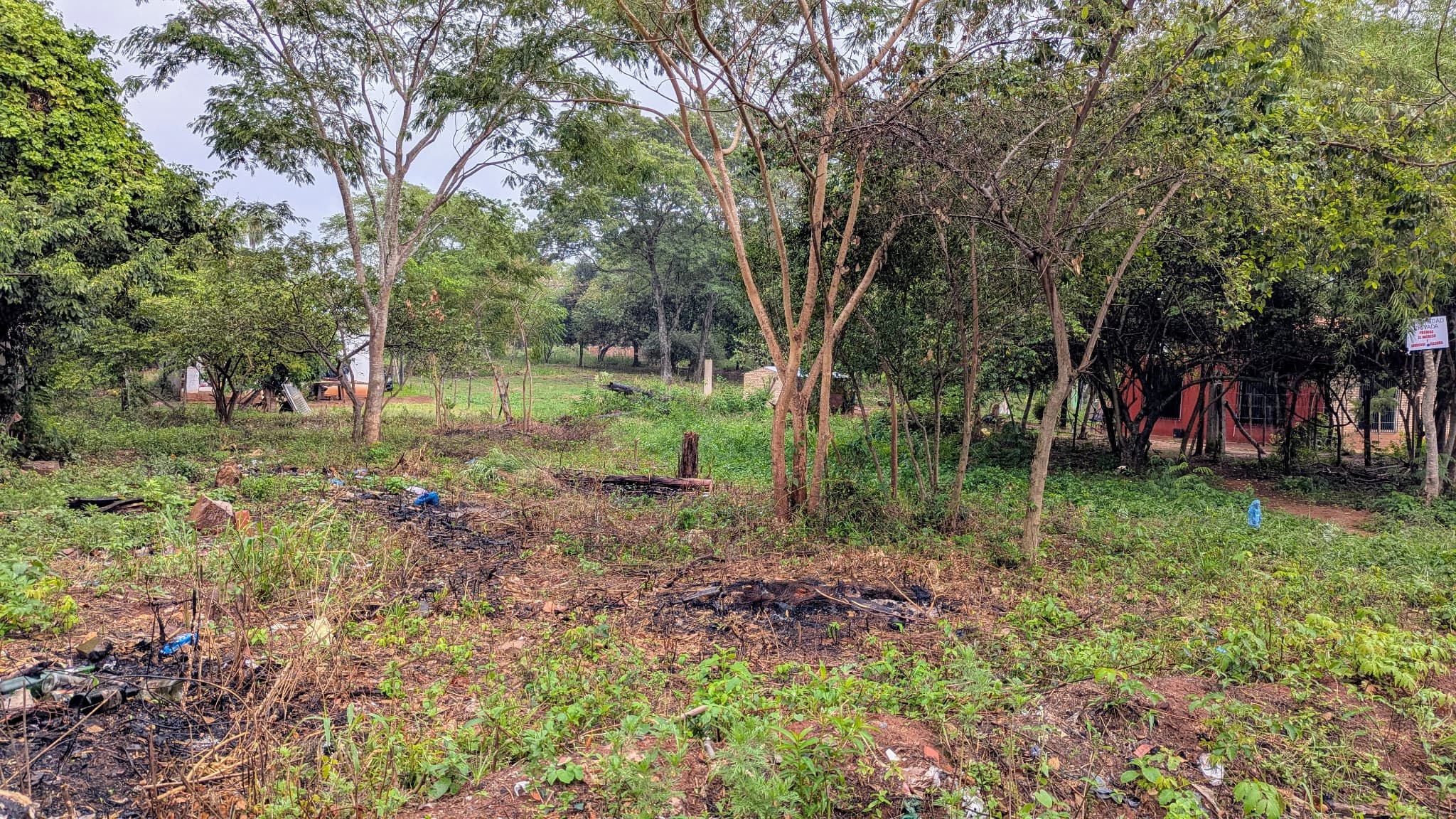 Terreno Detrás Del Vivero Pozo AzuL - Luque — foto 2