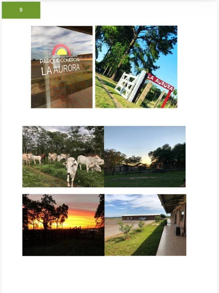 Parque industrial caazapá – 24,5 ha — foto 3