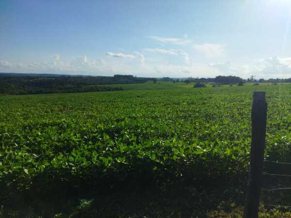 En venta propiedad rural en presidente franco, foto 1