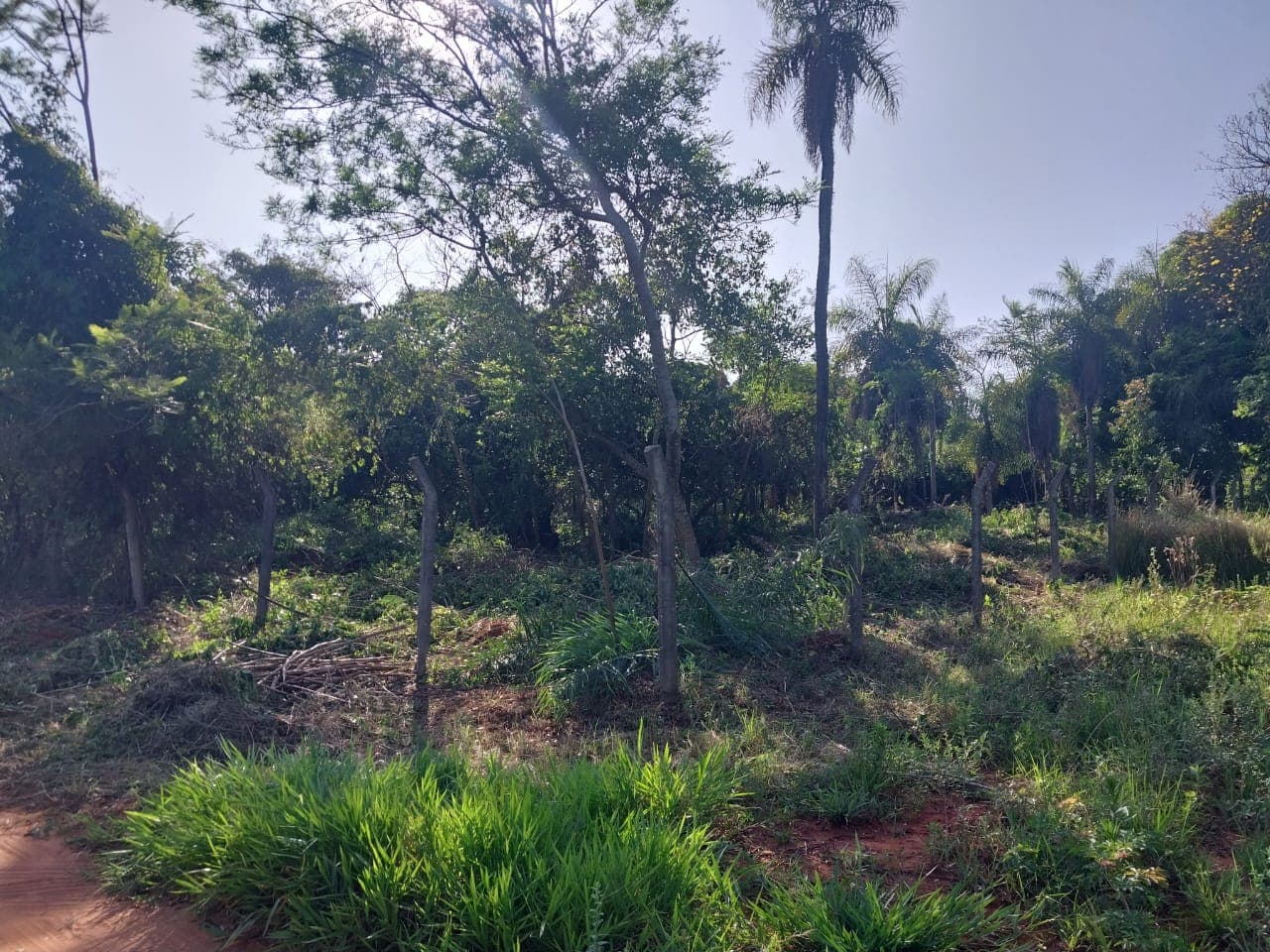 2 terrenos juntos en aregua pindolo, foto 1