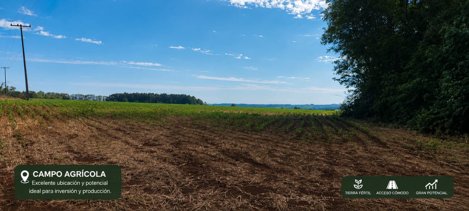 Propiedad agricola en capitan meza itapua, foto 3