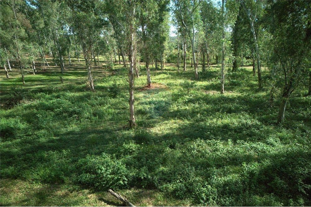 Terreno - Venta - San Bernardino, Paraguay