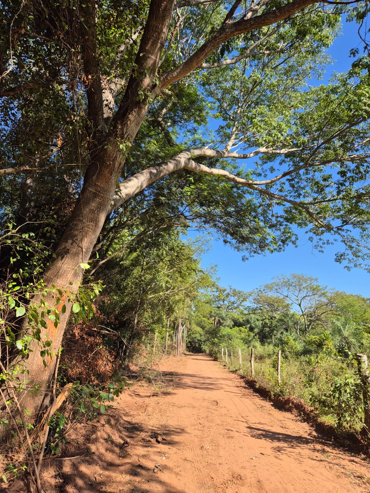 Terreno en arroyos y esteros, foto 5