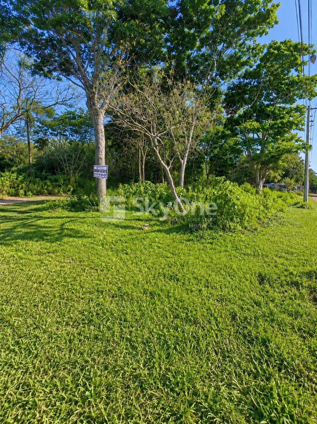 Terreno en venta en capiata posta ybycua, foto 1