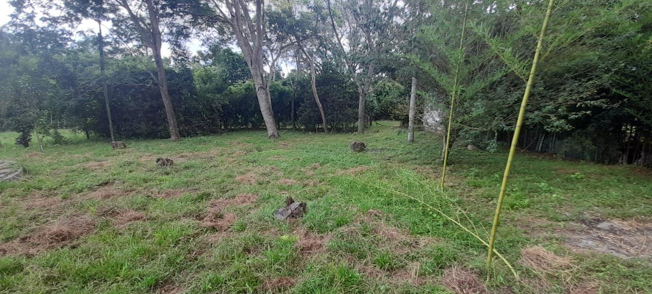 3 terrenos en loma grande, foto 2