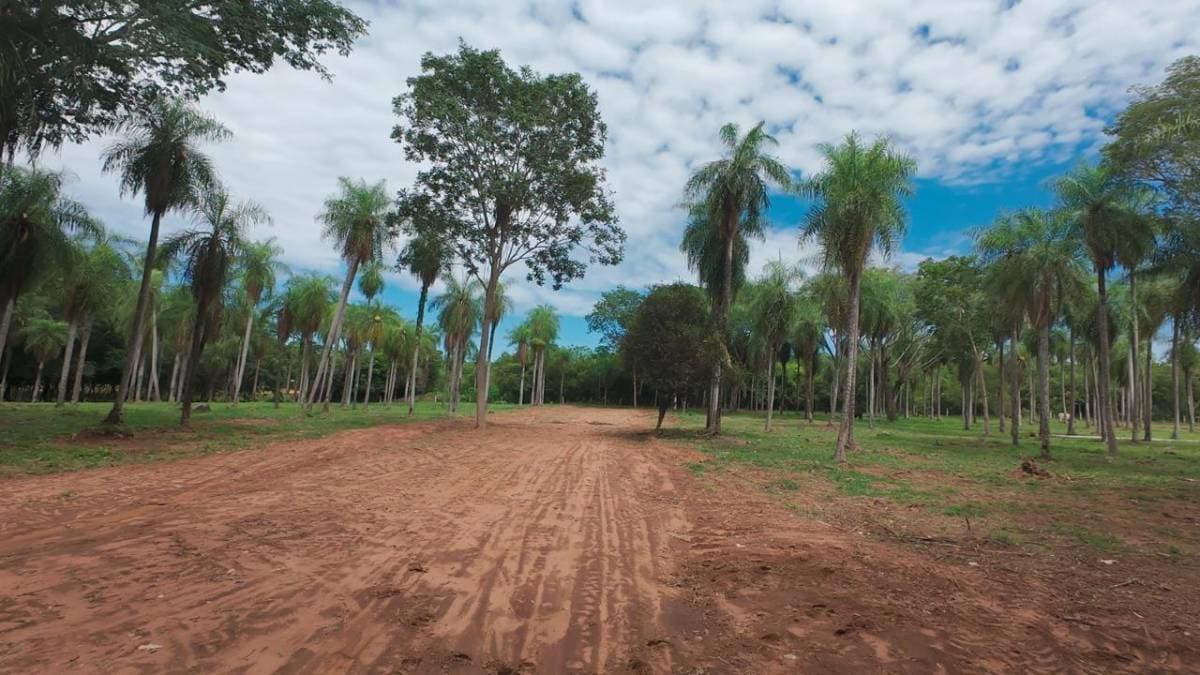 Oportunidad de inversion lotes en la ciudad de altos, foto 1