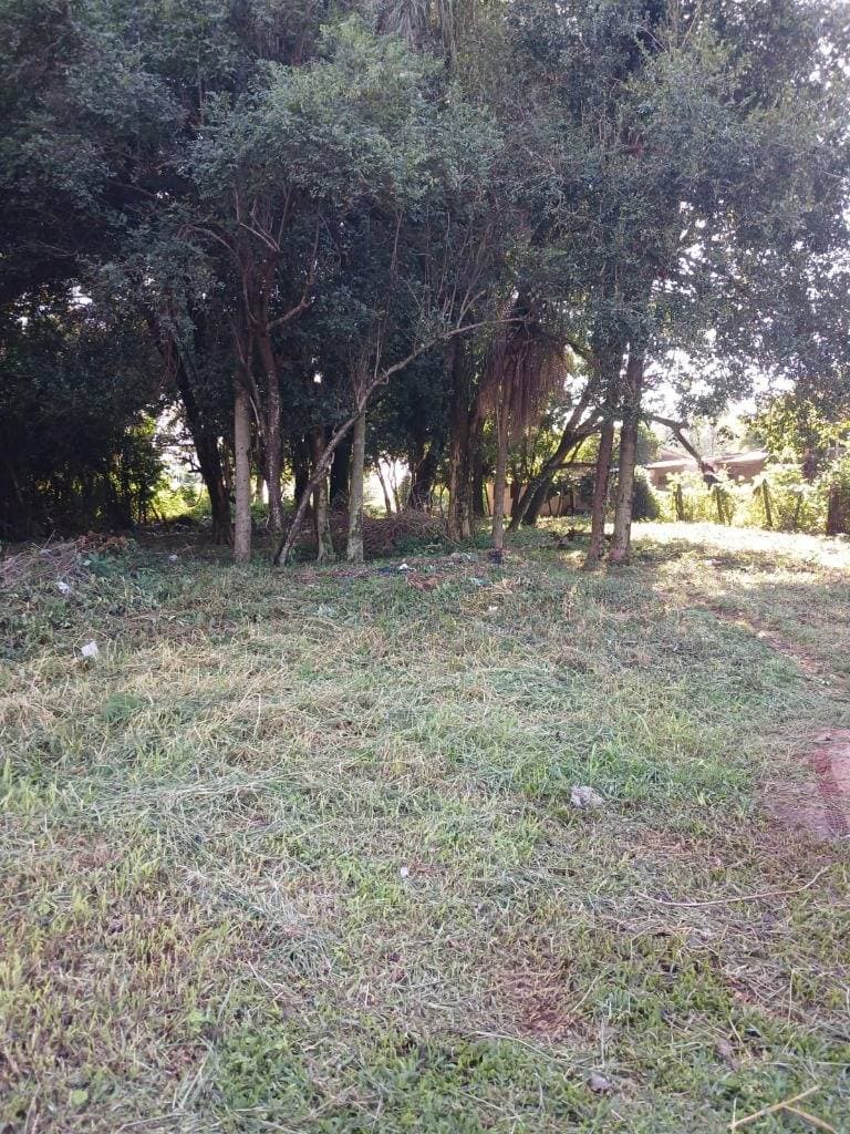Terreno laurelty - en San Lorenzo, foto 2