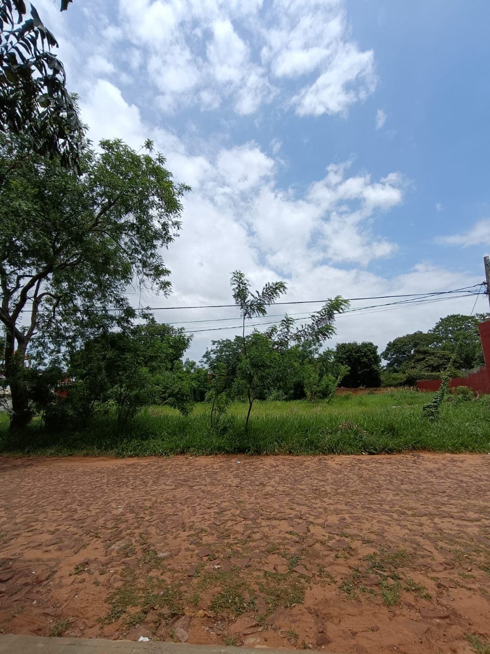 3 Terrenos Juntos En Luque, Laurelty - Lla6630820, foto 5