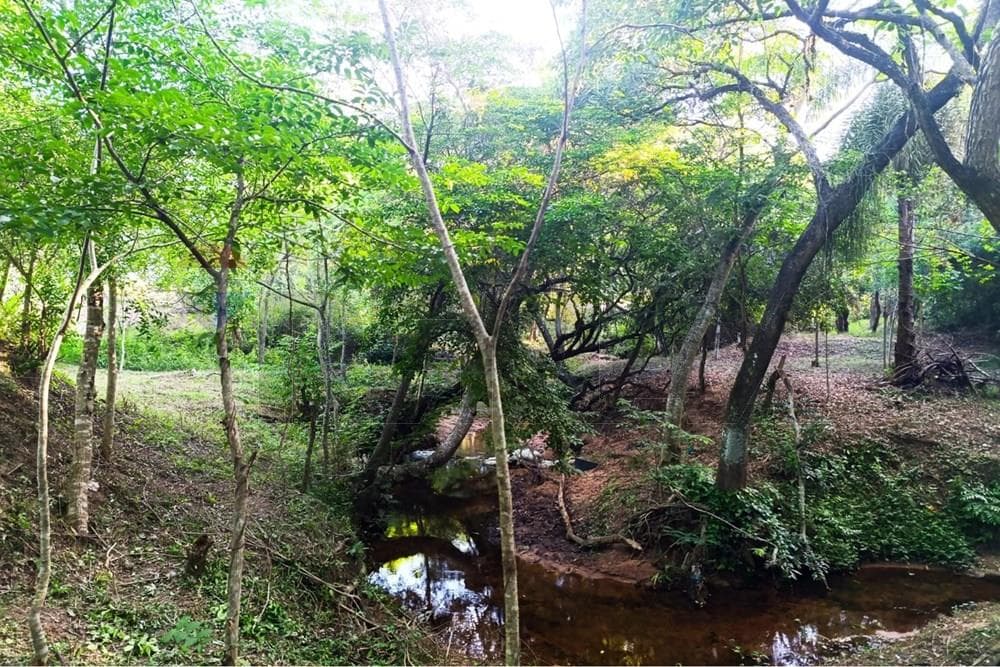 Terreno en Venta en Ypané, foto 4
