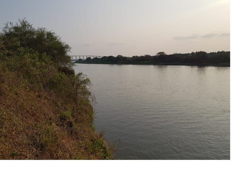 Terreno De 4 Hectáreas Sobre El Rio Paraguay - Concepción — foto 5