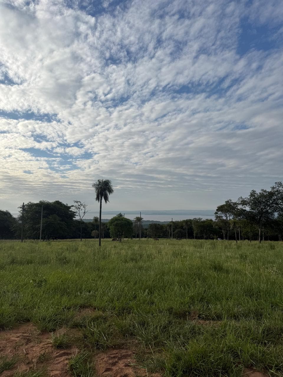 Parque alto - terreno, foto 5
