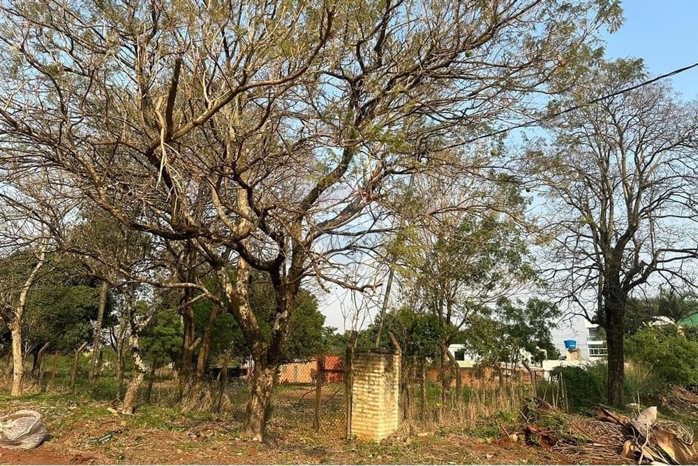 Terreno en Ciudad del Este san jose 4.583 m2, foto 5