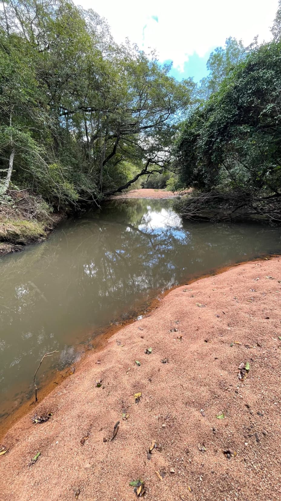 19 hectáreas en Quiindy con hermoso arroyo, foto 1