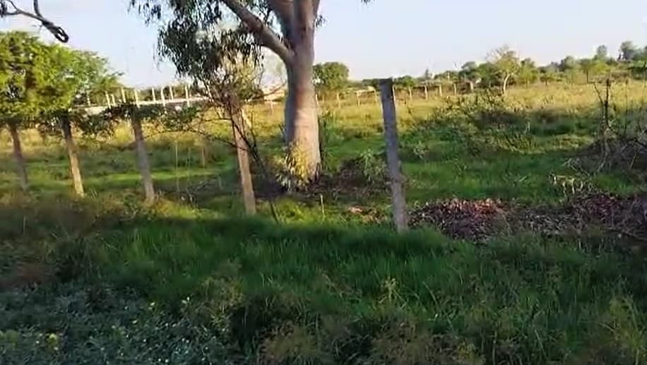 Terreno en Venta en Pilar - Barrio San Lorenzo, foto 4