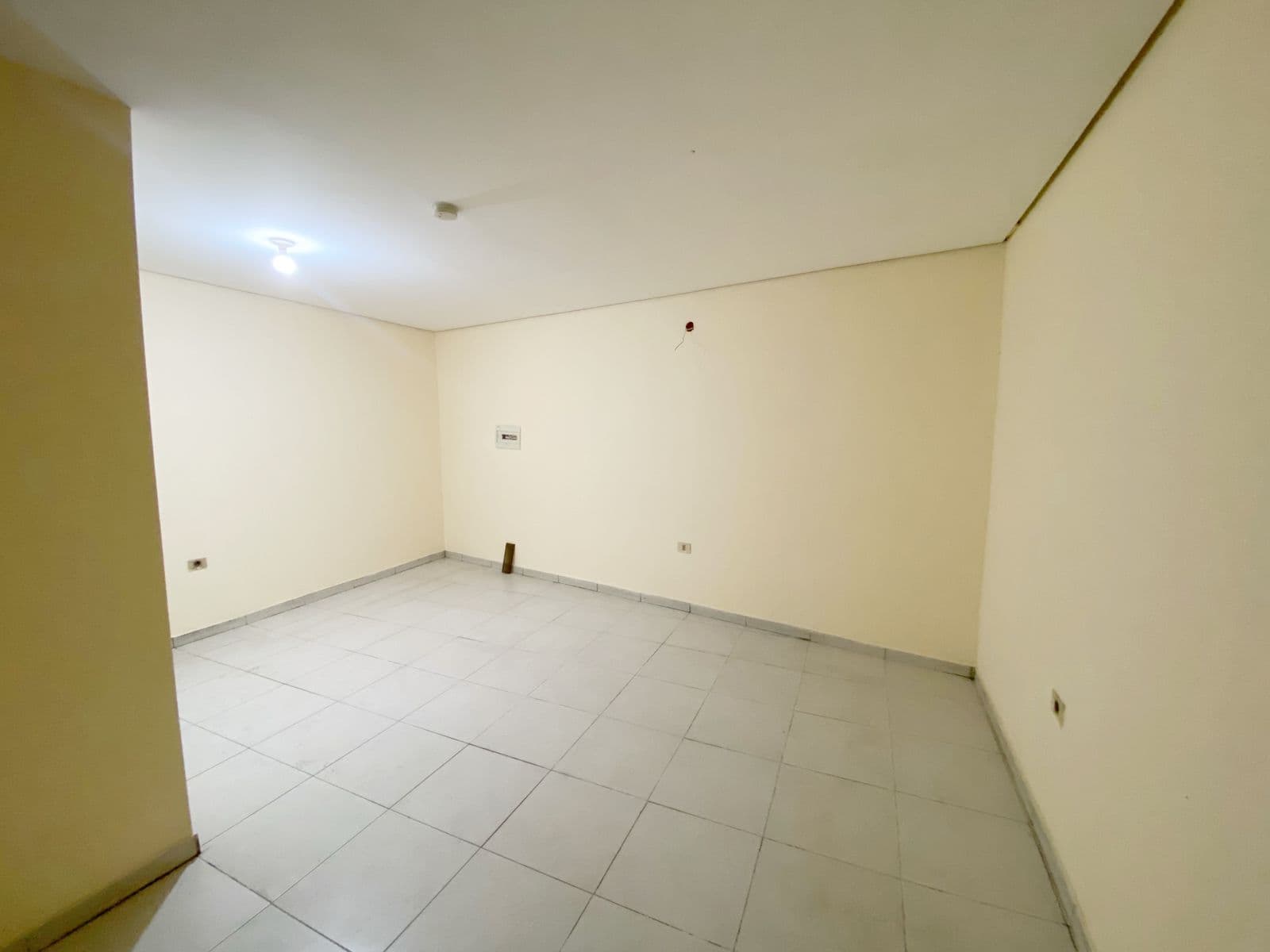 Tinglado seminuevo en Mariano Roque Alonso de 1.000 m2, foto 2