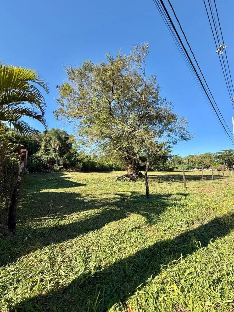 7 Lotes En Limpio – Zona Residencial En Crecimiento, foto 1