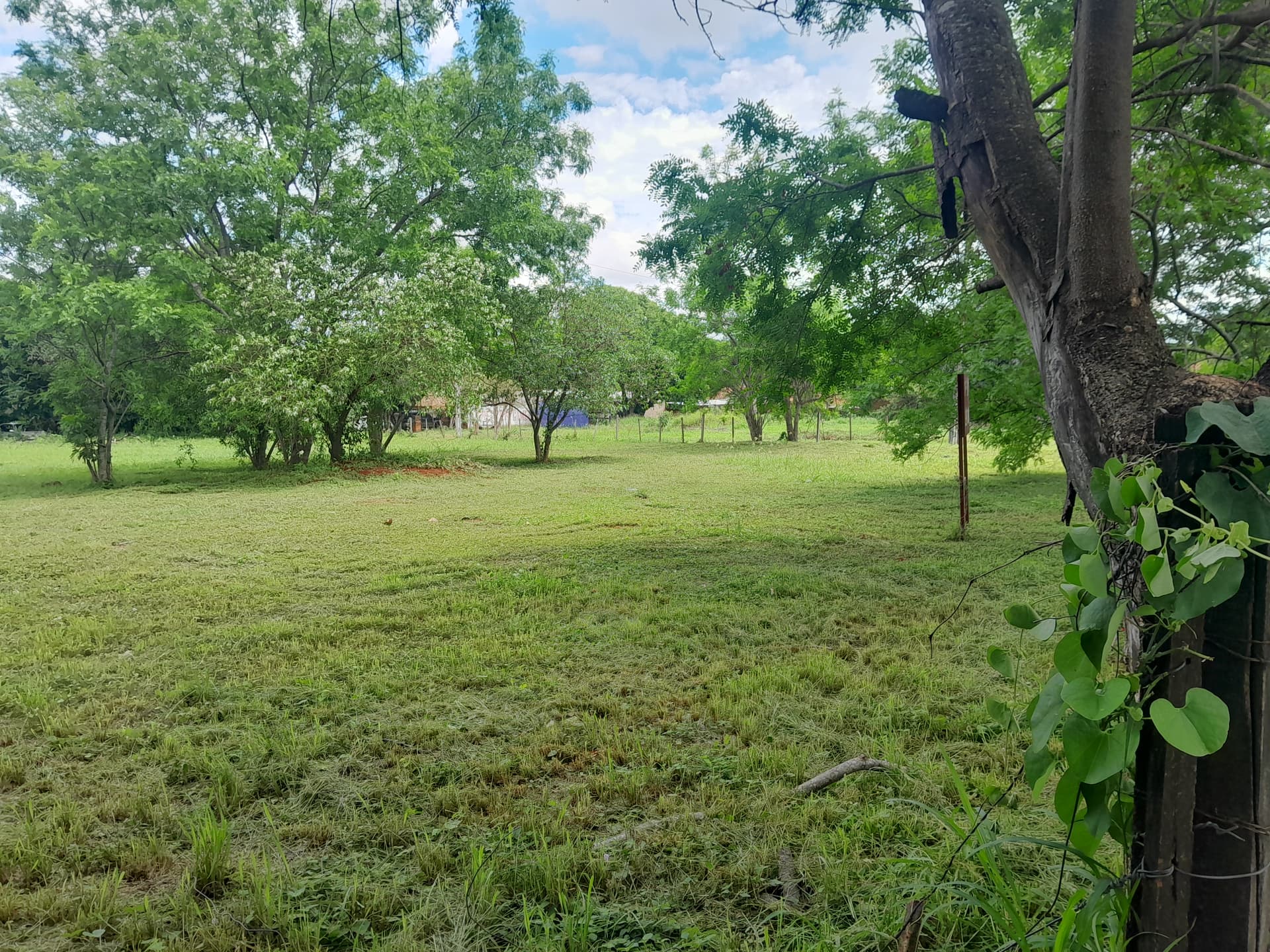 Terreno De 4.608m2 En Capiata-cerrito, foto 4