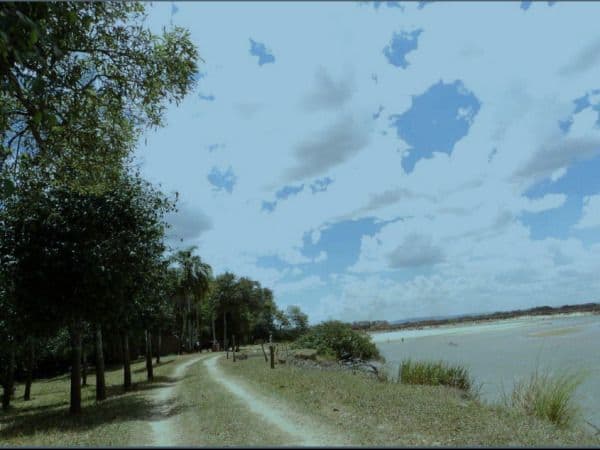 Campo en venta en Paraguay, foto 3