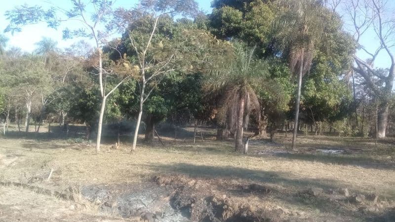 Lote EN venta, foto 3