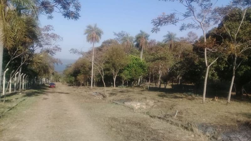 Lote EN venta, foto 5